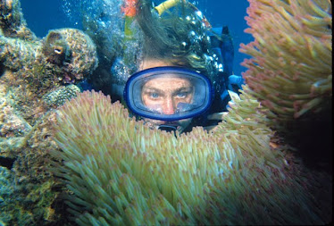 Diver with Magnificant Sea Anemone