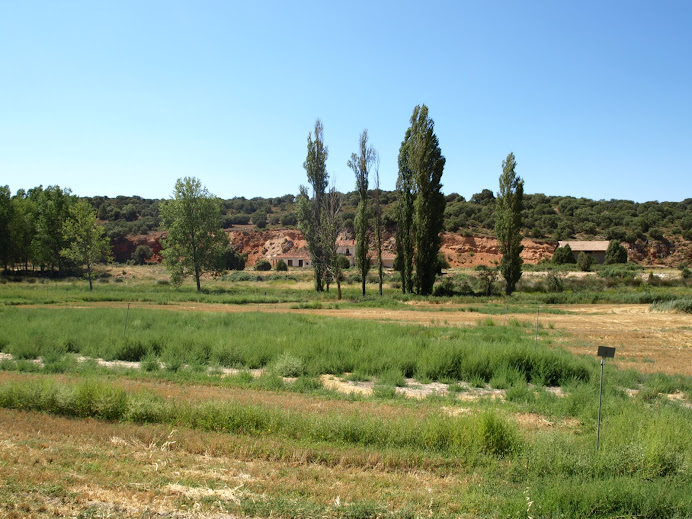 Estación de El Jardín, Albacete