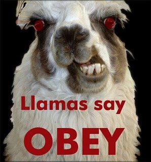 were+llama.jpg