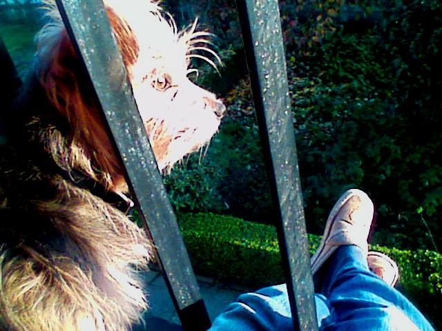 [GetAttachment.aspx.jpg]