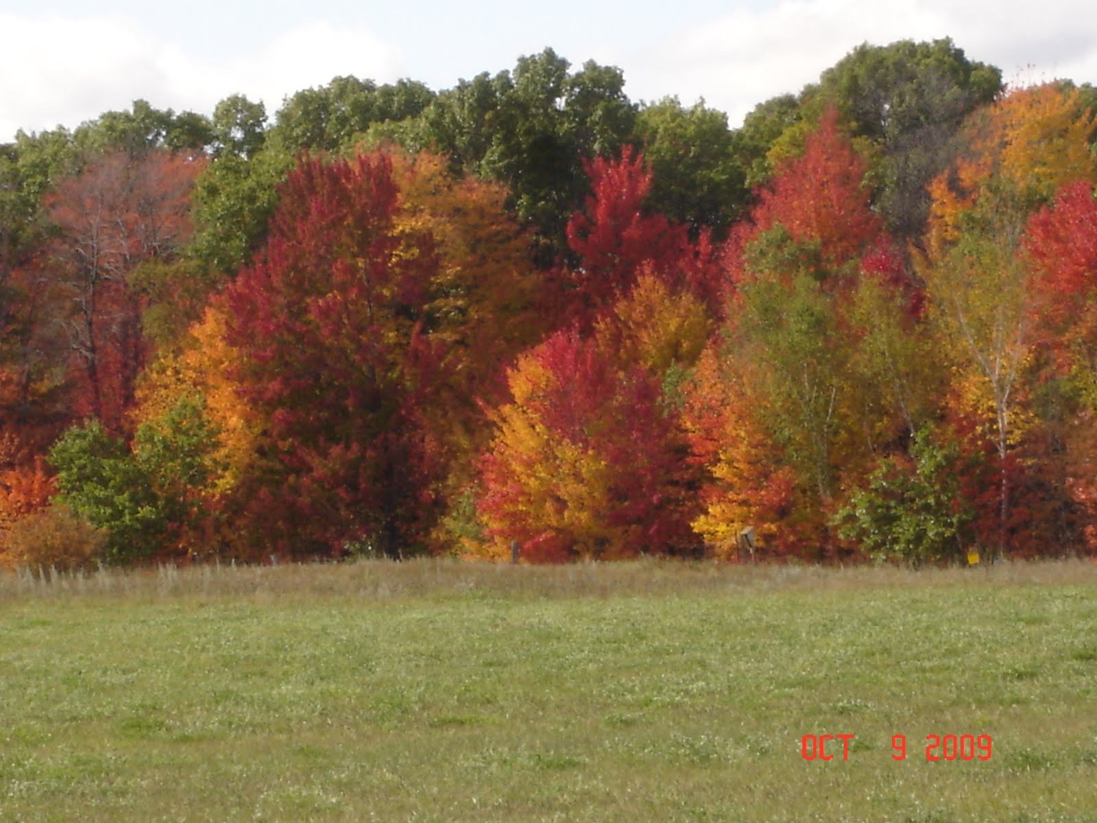 [DSC02722.JPG]