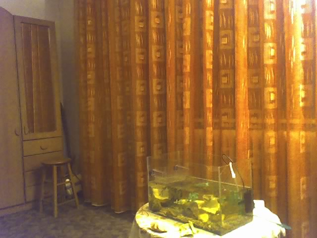 [10-12-06_2322.jpg]