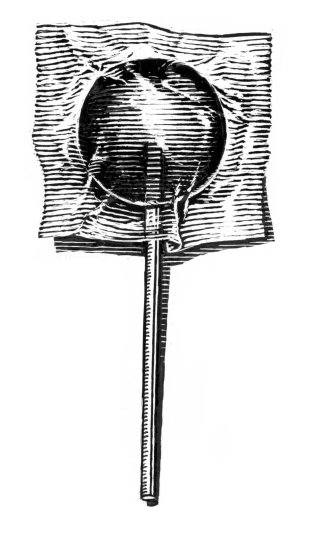 [iwdayala0254c.jpg]