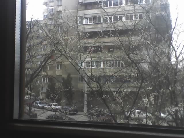 [11-03-07_1205.jpg]