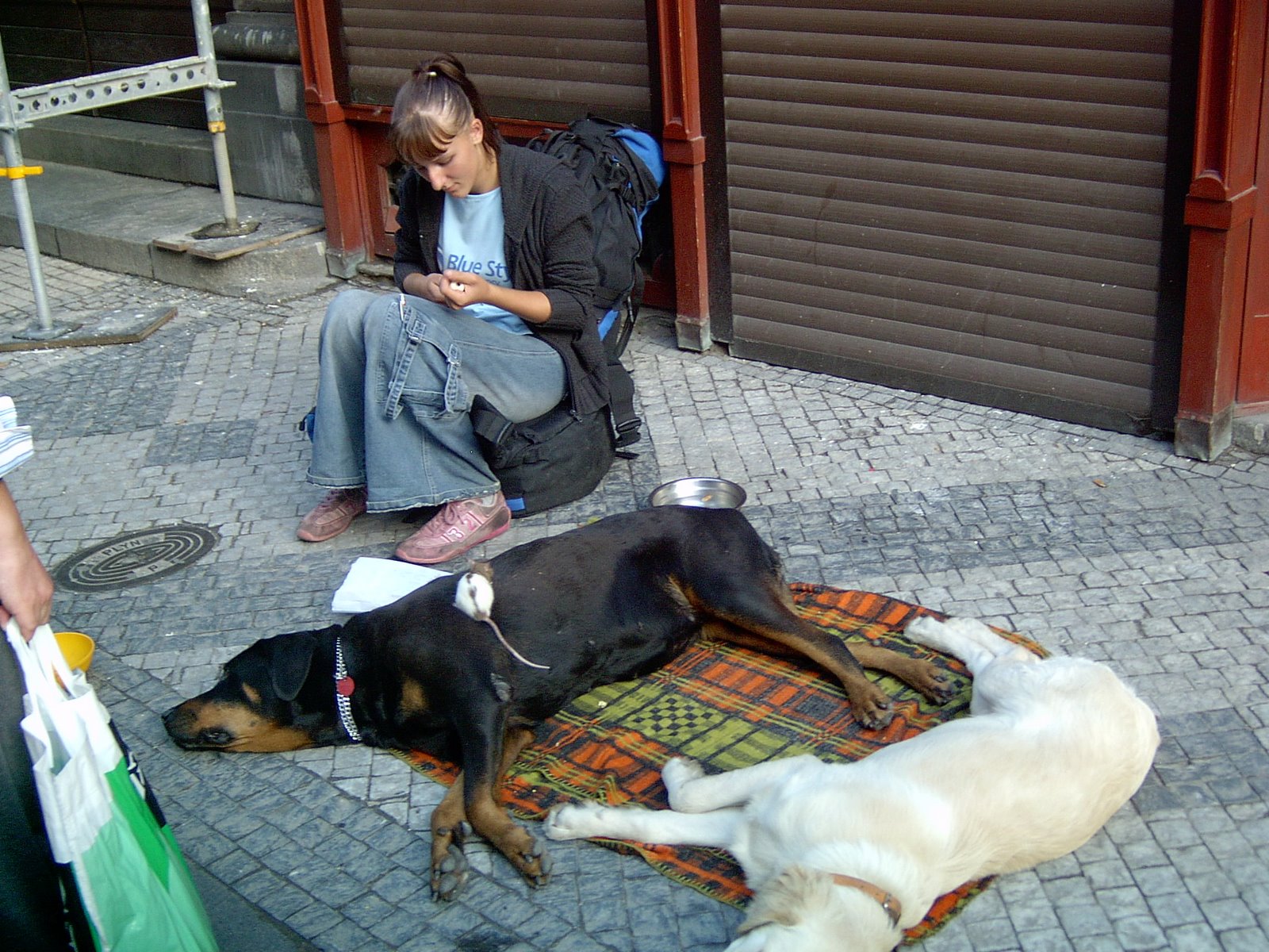 [IM000206.JPG]