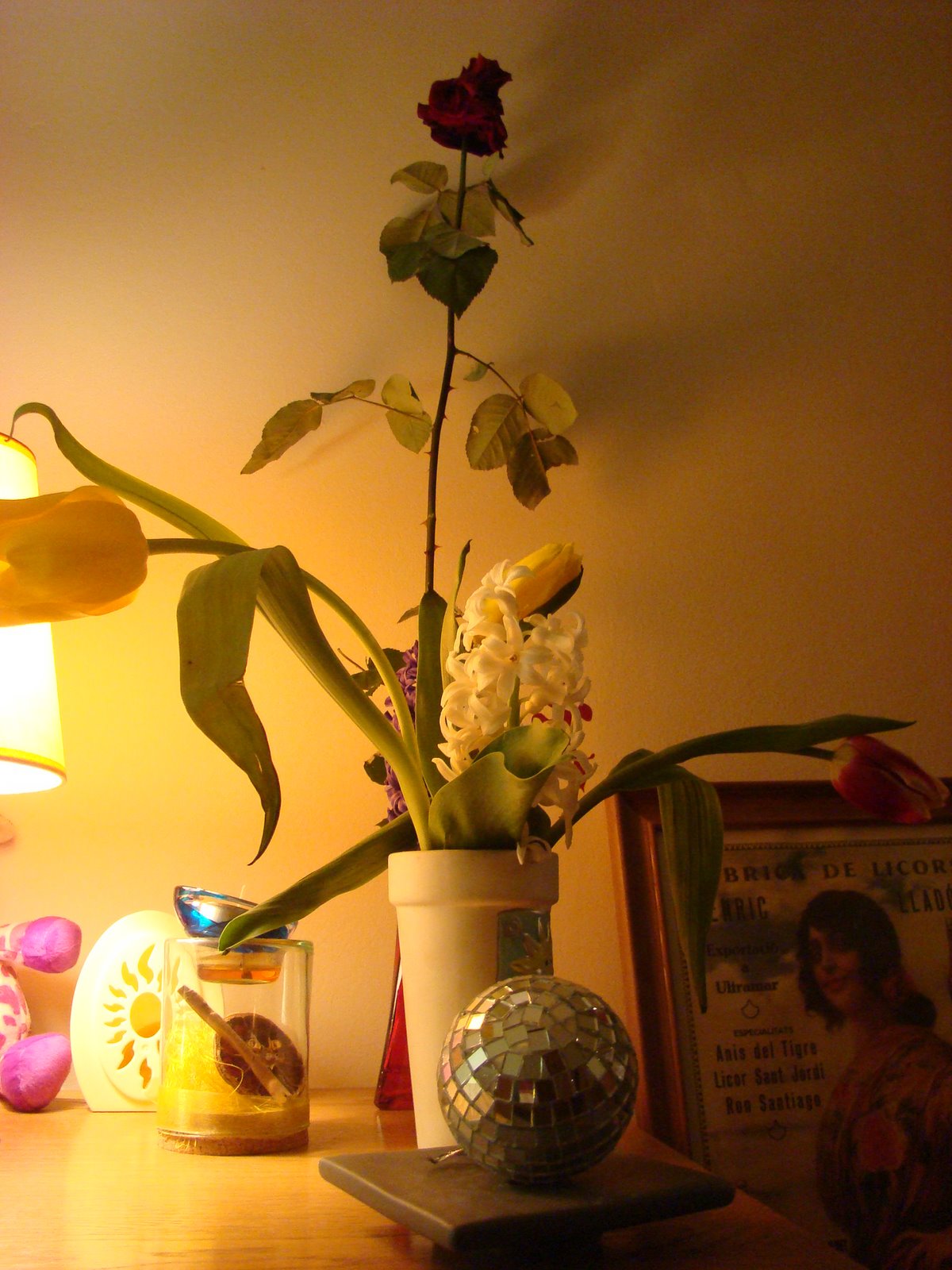[DSC03934.JPG]