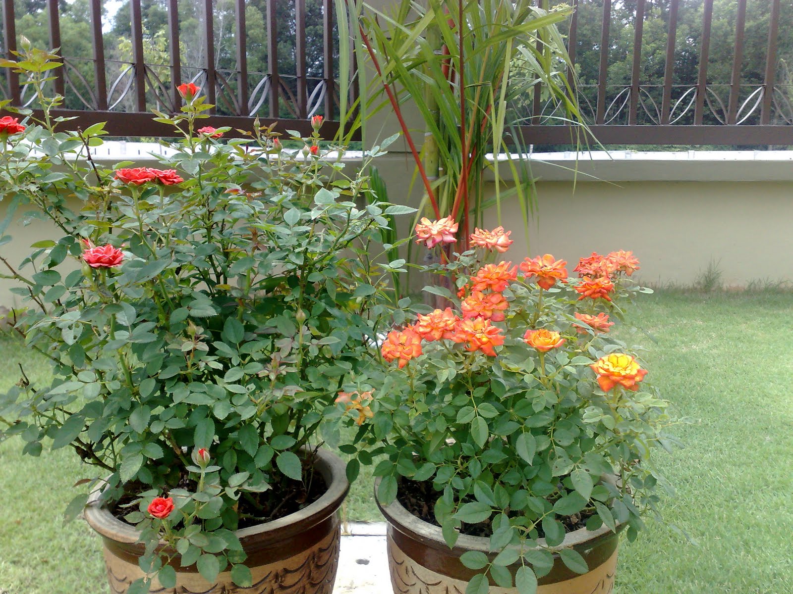 [20102009646.jpg]