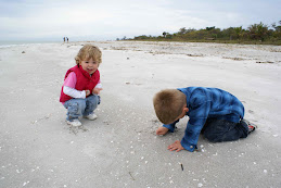 Schelpen zoeken @ Sanibel