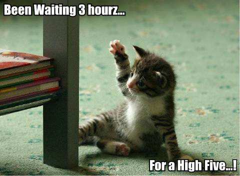 [been-waiting-3-hourz-for-a-high-five.jpg]