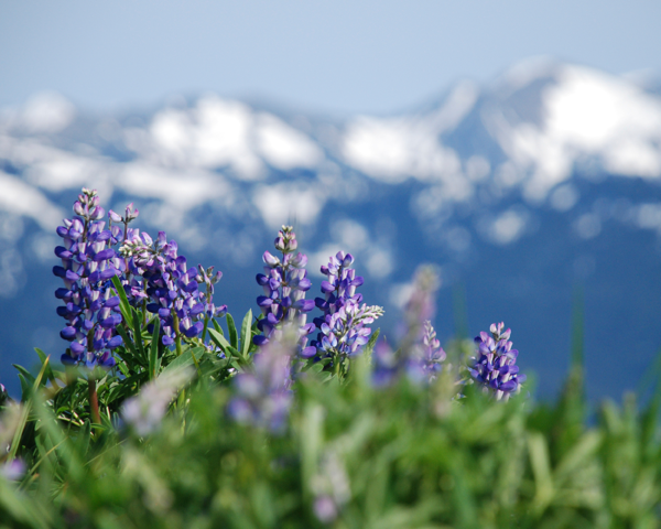 [iStock_000008444984Medium.png]