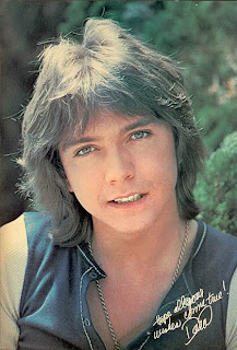 Celebrity Men's Hairstyles With Image David Cassidy Classic Hairstyle With Men's Shaggy Haircuts Picture 4