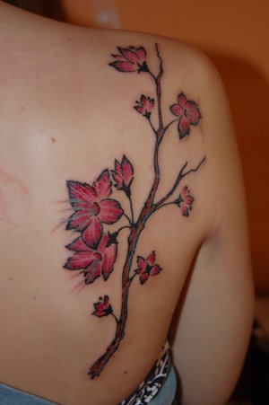 Upper Back Tattoo Ideas With Cherry Blossom Tattoo Designs With Picture