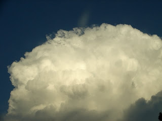 I love clouds that look like cauliflower.