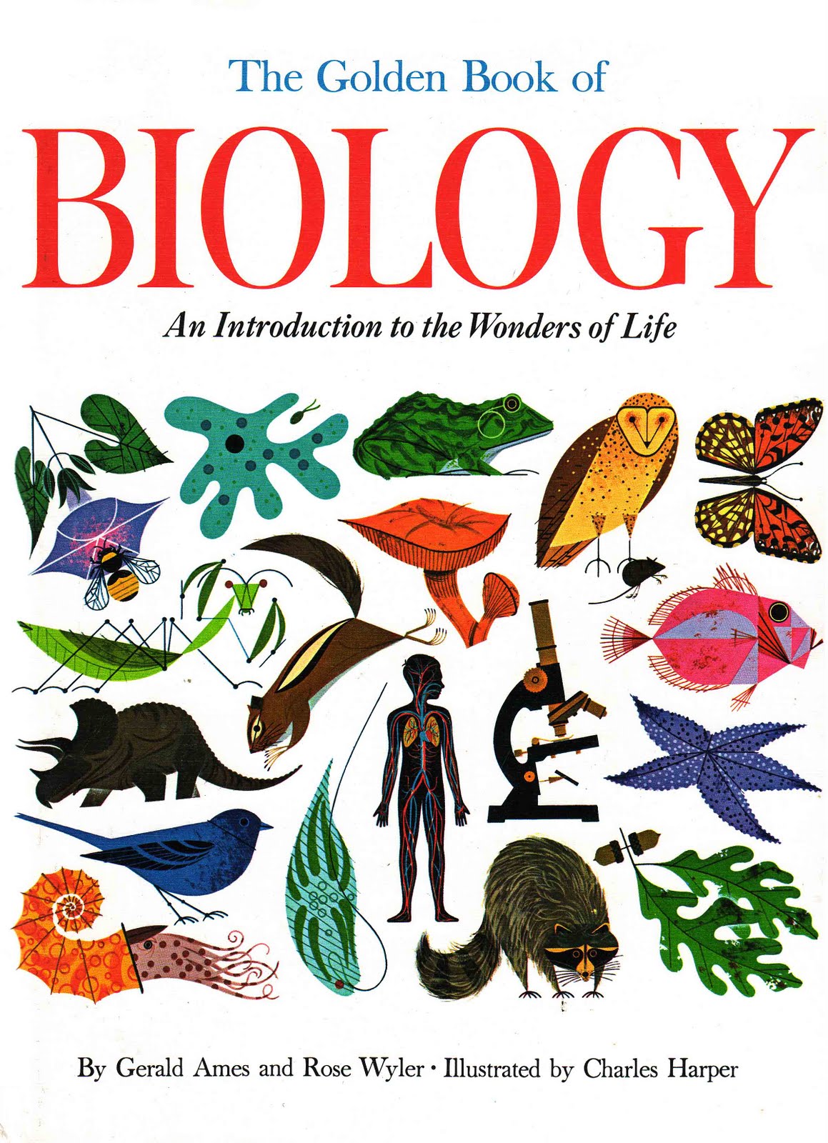 Vintage Kids' Books My Kid Loves The Golden Book of Biology
