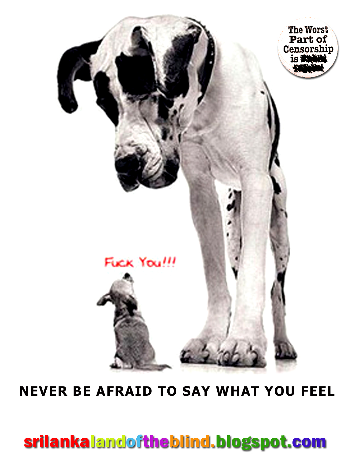 [never+be+afraid+to+say+what+you+feel.jpg]