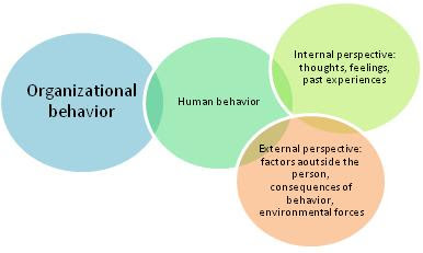 Organizational Behavior Essay