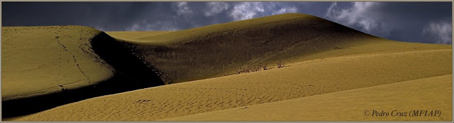 medanos de Coro