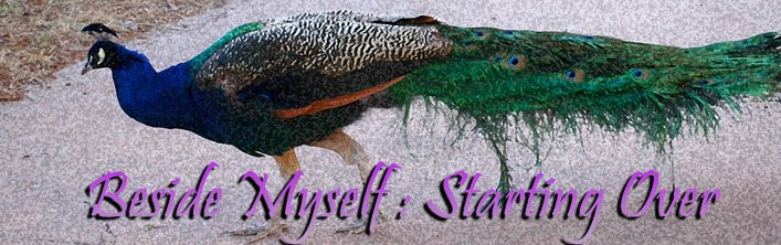BESIDE MYSELF