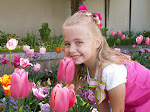 Haley