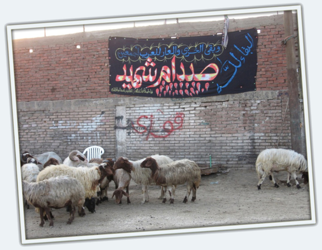 [Helwan+(1).JPG]