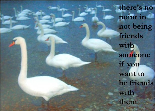 http://3.bp.blogspot.com/_0xyqQb_DAh8/SDcL7T-MxUI/AAAAAAAAAD4/FYLTRp1dBe4/S1600-R/blog%2Bswans.jpg