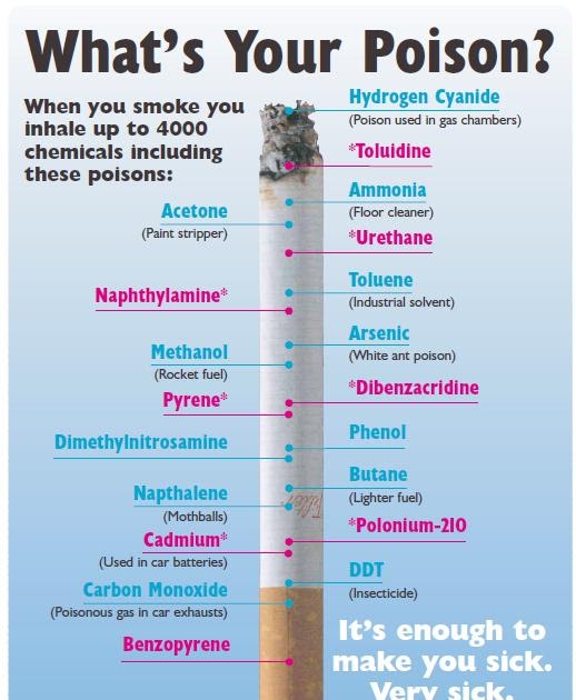 The Flotsam Diaries The Unfiltered Truth
