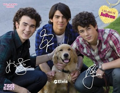 Los Jonas Brothers se compran una casa de 2,8 millones de dólares Jonas+Brothers79