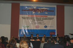 IV Convención Lima -  Perú  2008