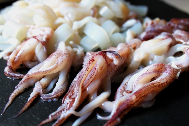 [Squid.JPG]