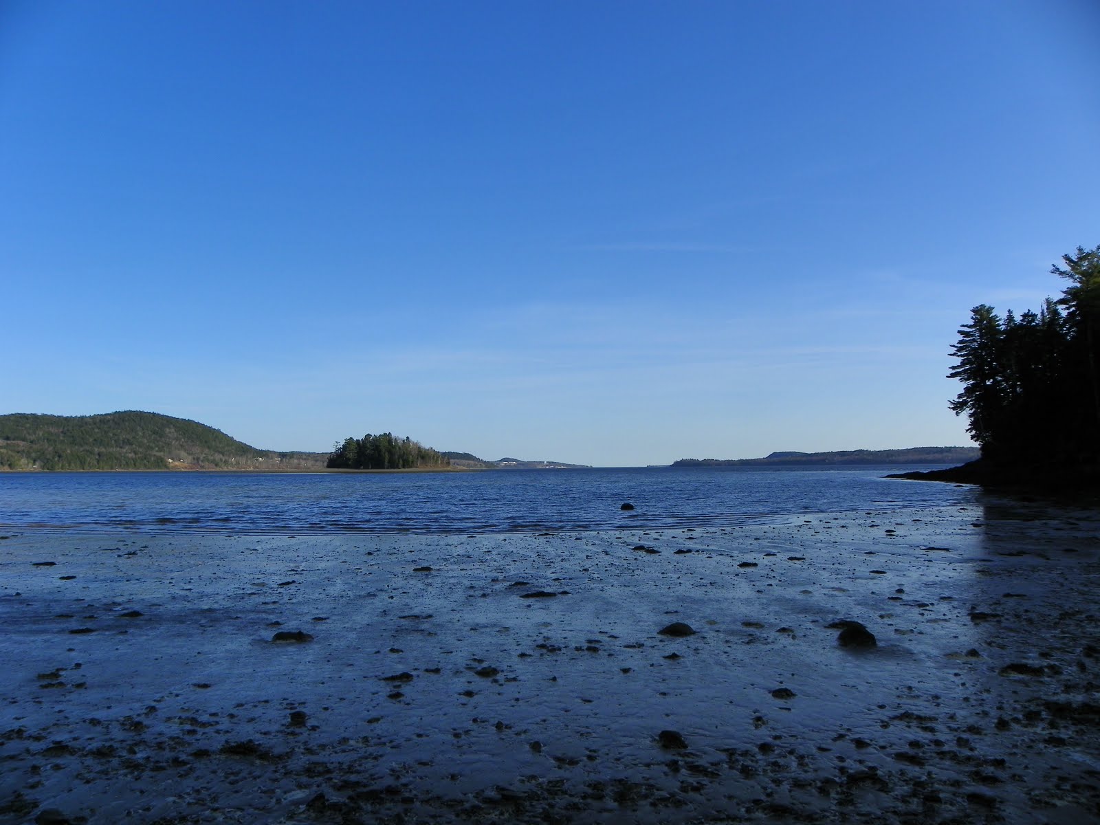 The Adventures of Joshua and Tilley Spoon Island Evening Hike, Part 4