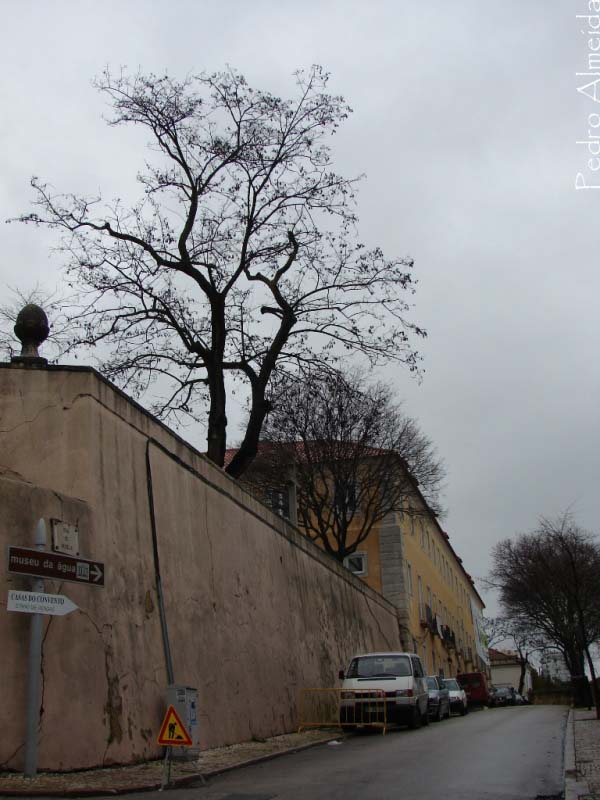 [rua+do+museu.jpg]