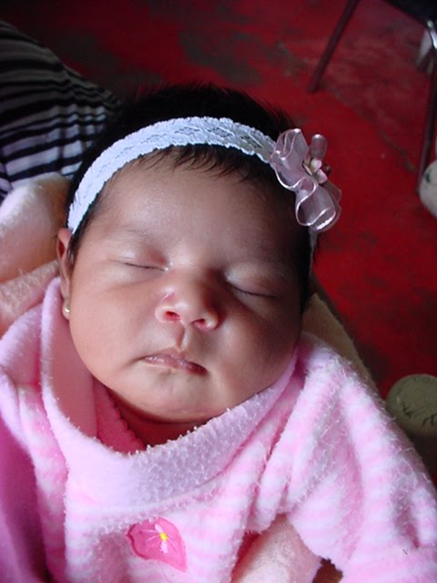 [DSC00237.JPG]