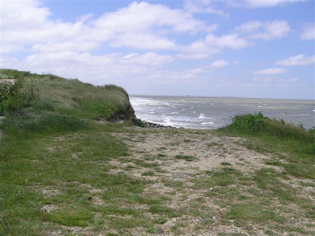 Allie haze Videos - Large Porn Tube Free Allie haze porn