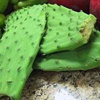 Retired Liar: Hey Gringo, about Cactus&hellip;Part 2