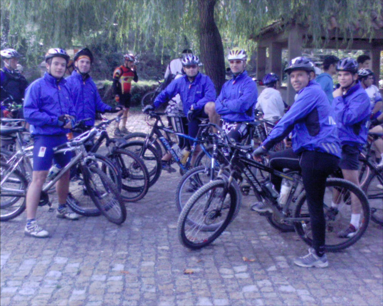 [DSC00334.JPG]
