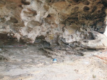 (Trane furnace partslp to n, natural gas burner for electric arc