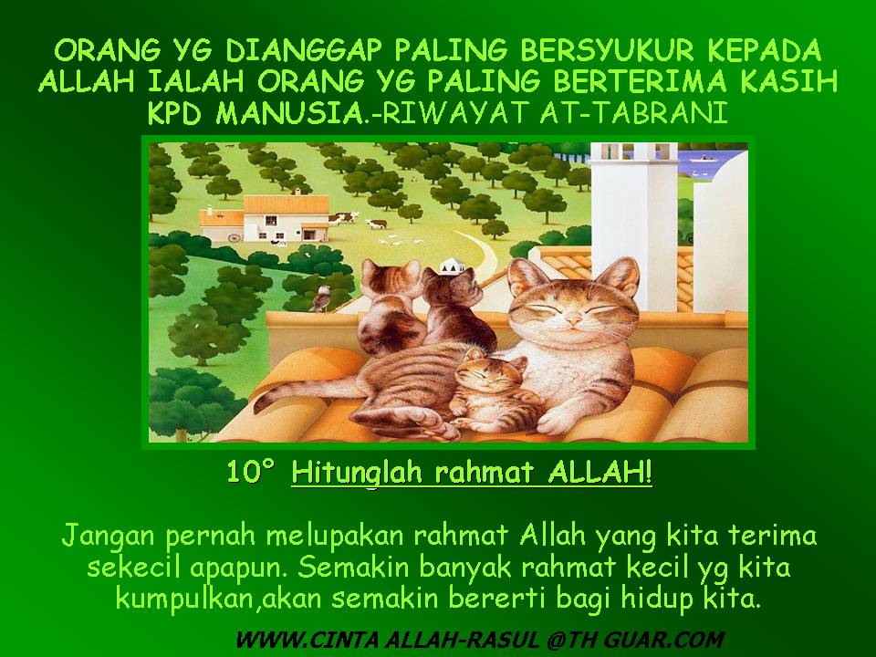 [Slide8-739162.JPG]