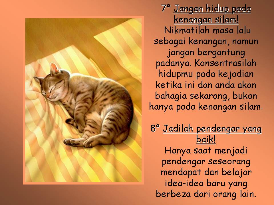 [Slide6-738619.JPG]