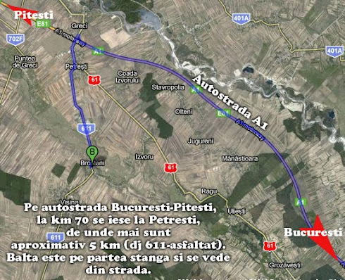 Harta spre Balta Brosteni