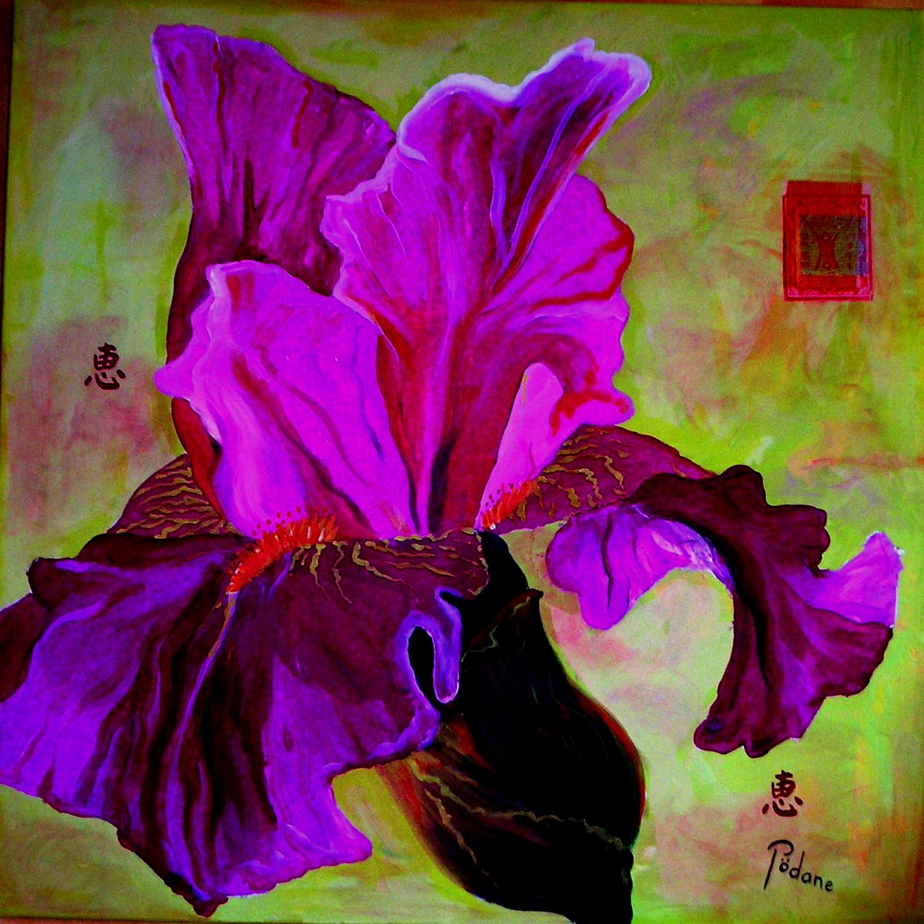 Les iris ont été pendant très longtemps un sujet de fascination Les iris ont été pendant très longtemps un sujet de fascination