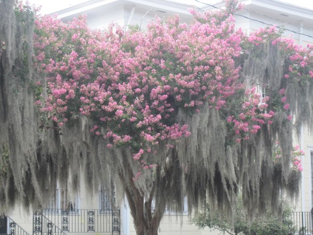 Savannah, Georgia - the deep South