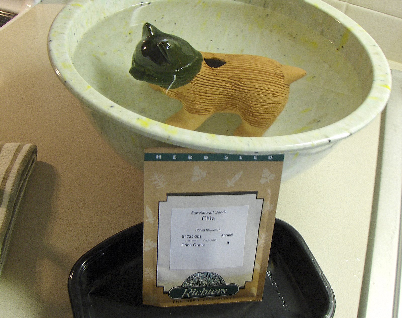 [2009-4-20+chichichi+chia+pet+002.jpg]