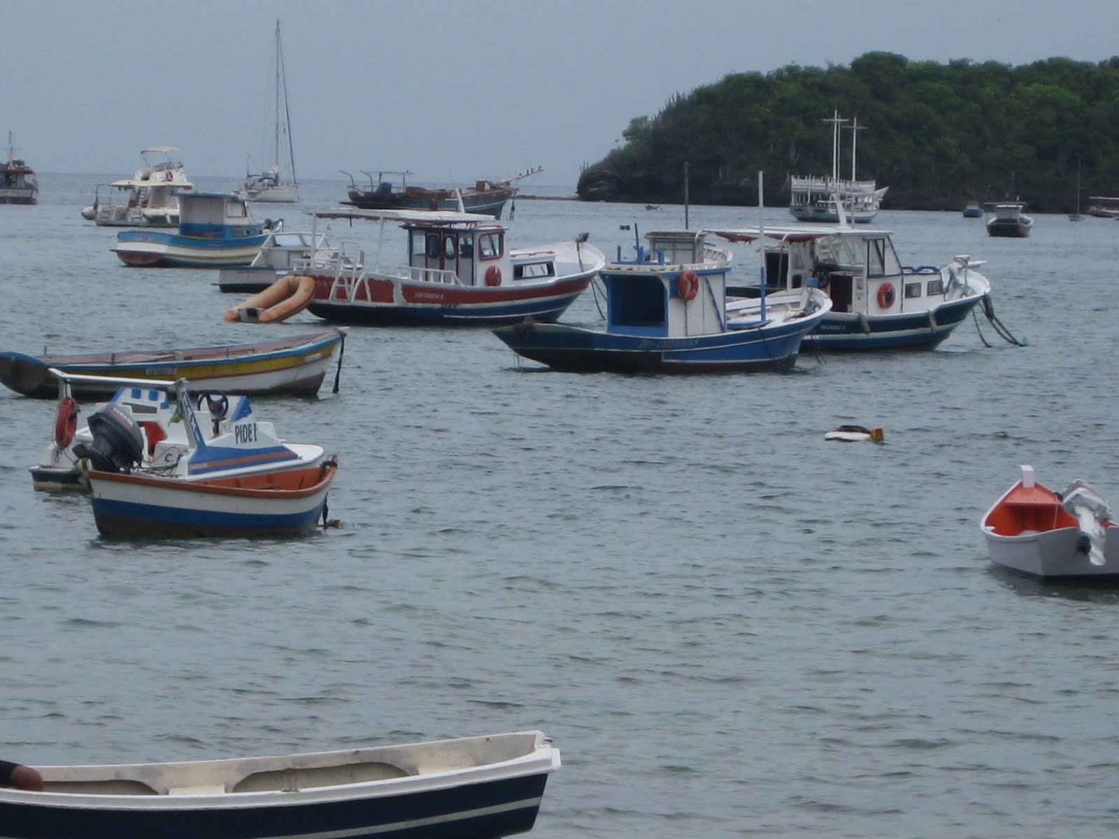 [Outubro+2009+178.JPG]