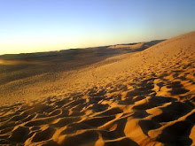 Dunas