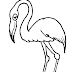 Flamingo para Colorir - Desenhos de Animais para Imprimir