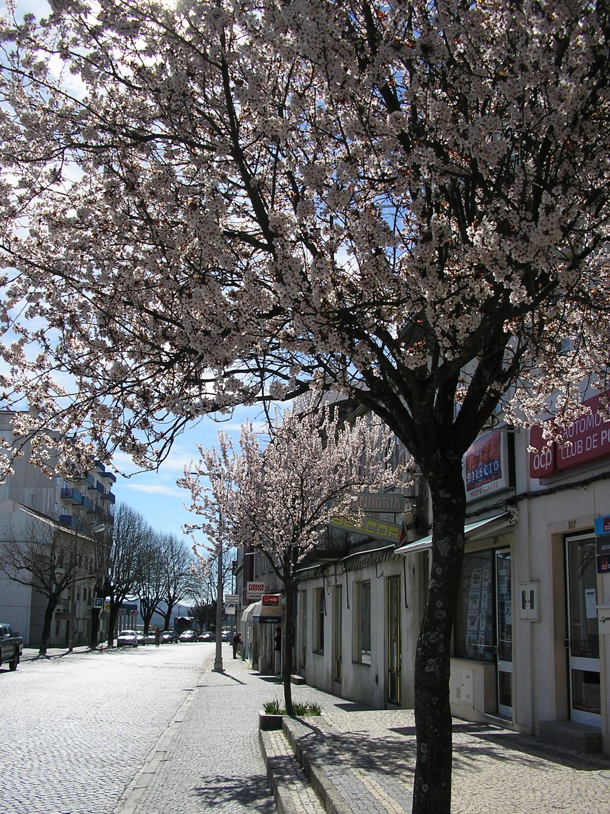 [P3010594.JPG]