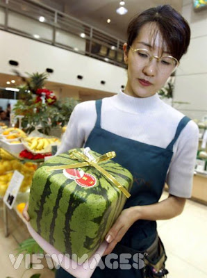 Lol Melon