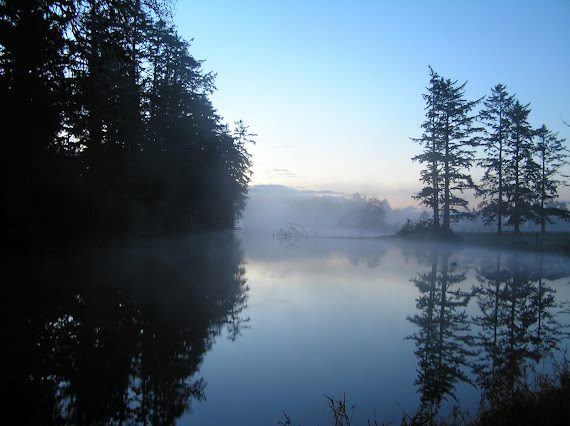 Morning mist on our lake after last years storm