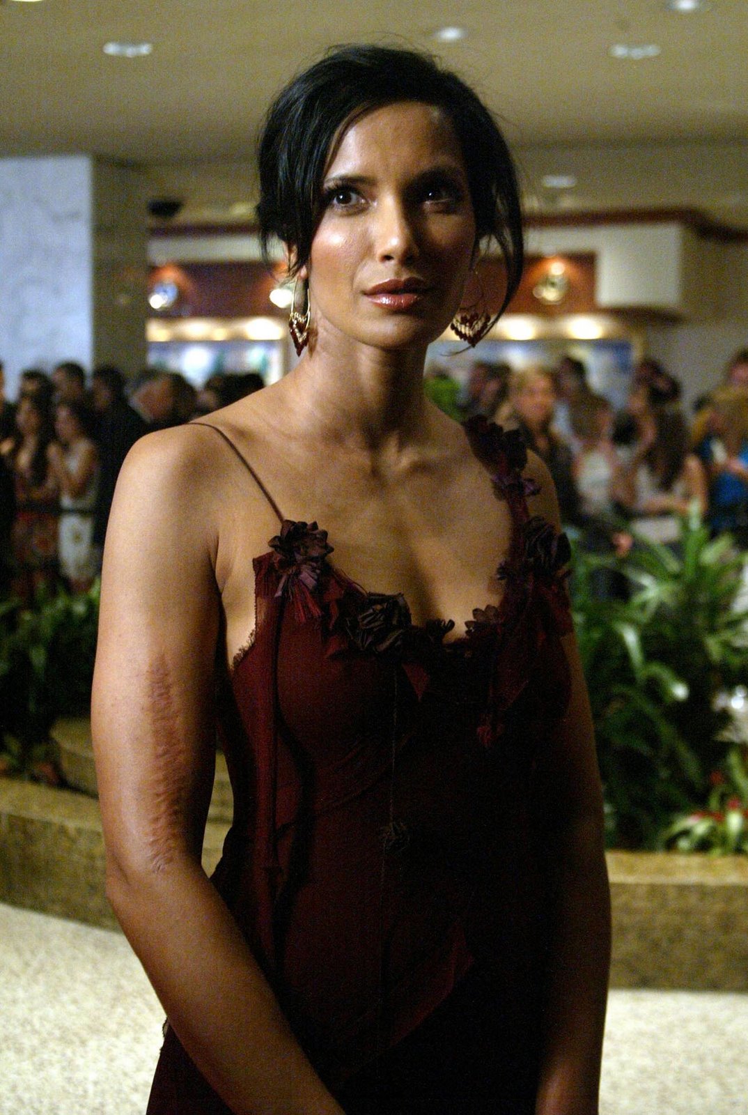 [padma_nip_dress_2_big.jpg]