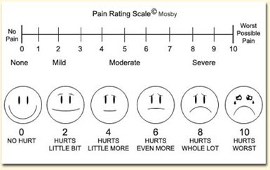 download ace model of emotions